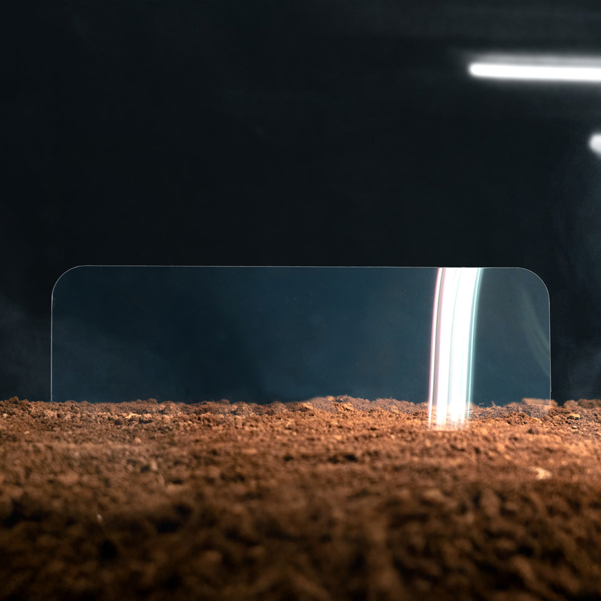 50mm AF Protect Lens Film (Pack of 2)